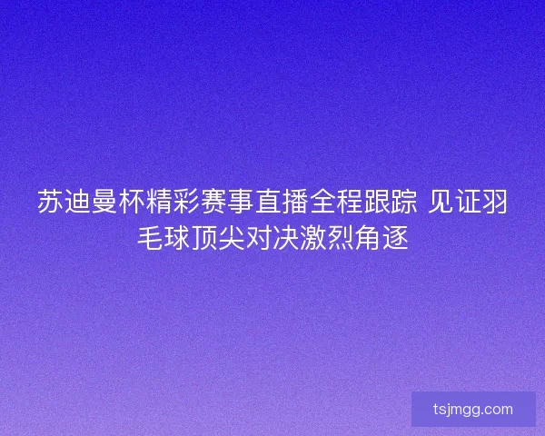 苏迪曼杯精彩赛事直播全程跟踪 见证羽毛球顶尖对决激烈角逐