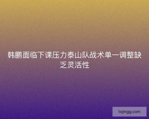 韩鹏面临下课压力泰山队战术单一调整缺乏灵活性
