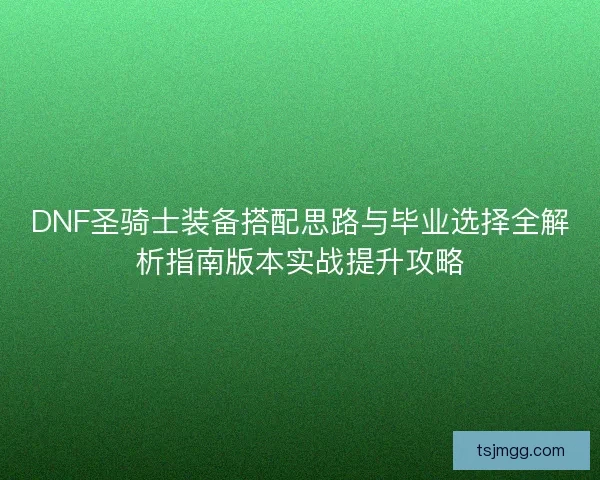 DNF圣骑士装备搭配思路与毕业选择全解析指南版本实战提升攻略