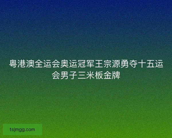粤港澳全运会奥运冠军王宗源勇夺十五运会男子三米板金牌