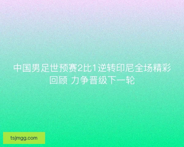 中国男足世预赛2比1逆转印尼全场精彩回顾 力争晋级下一轮